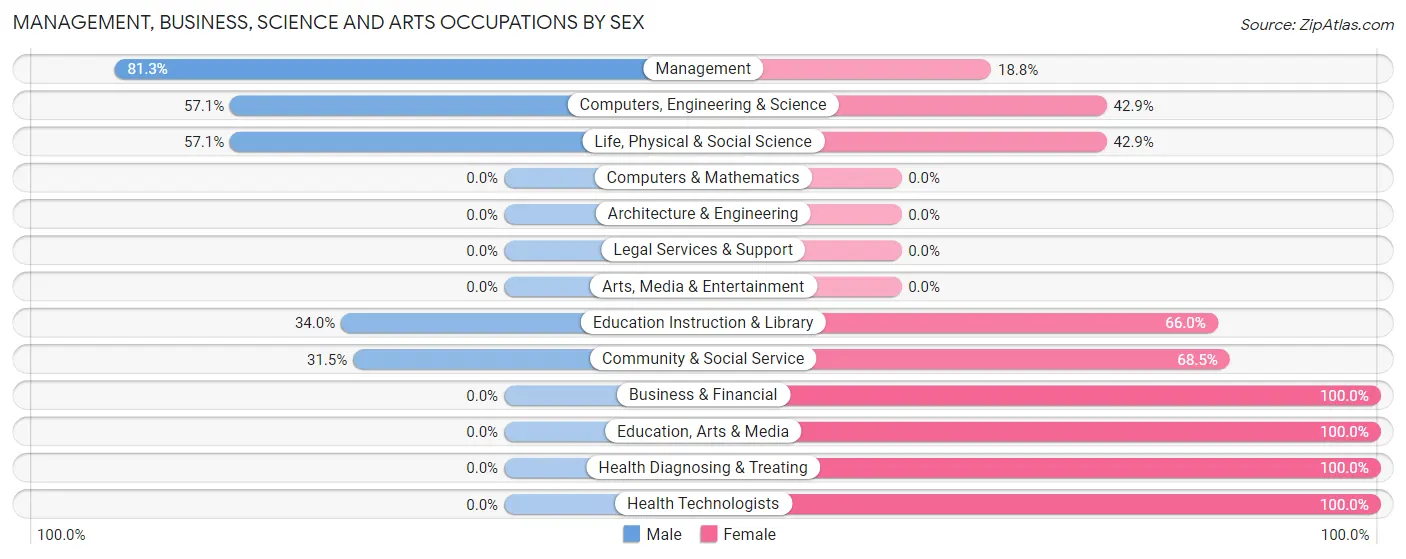 Management, Business, Science and Arts Occupations by Sex in Lamoure