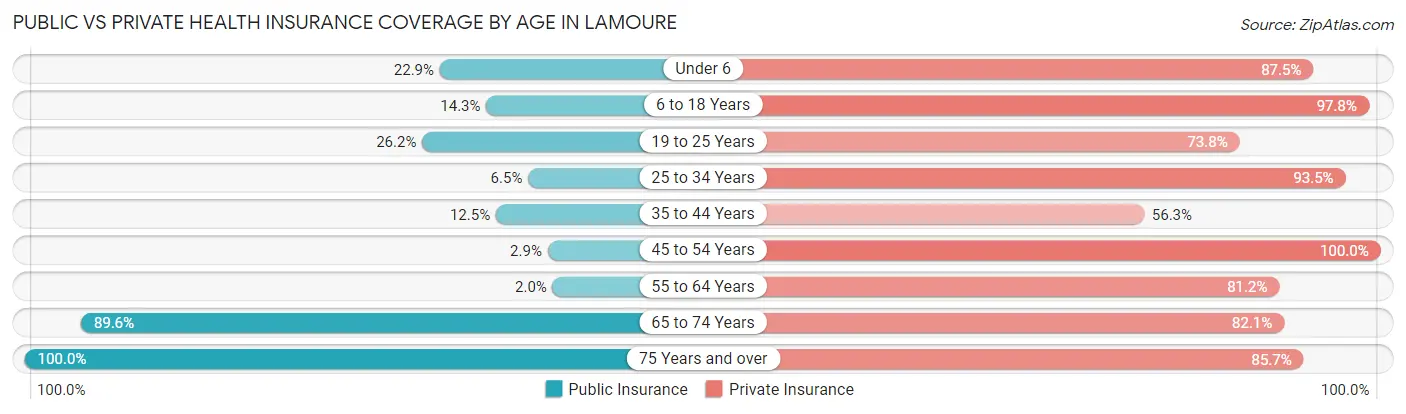 Public vs Private Health Insurance Coverage by Age in Lamoure