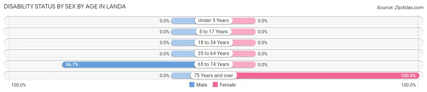 Disability Status by Sex by Age in Landa