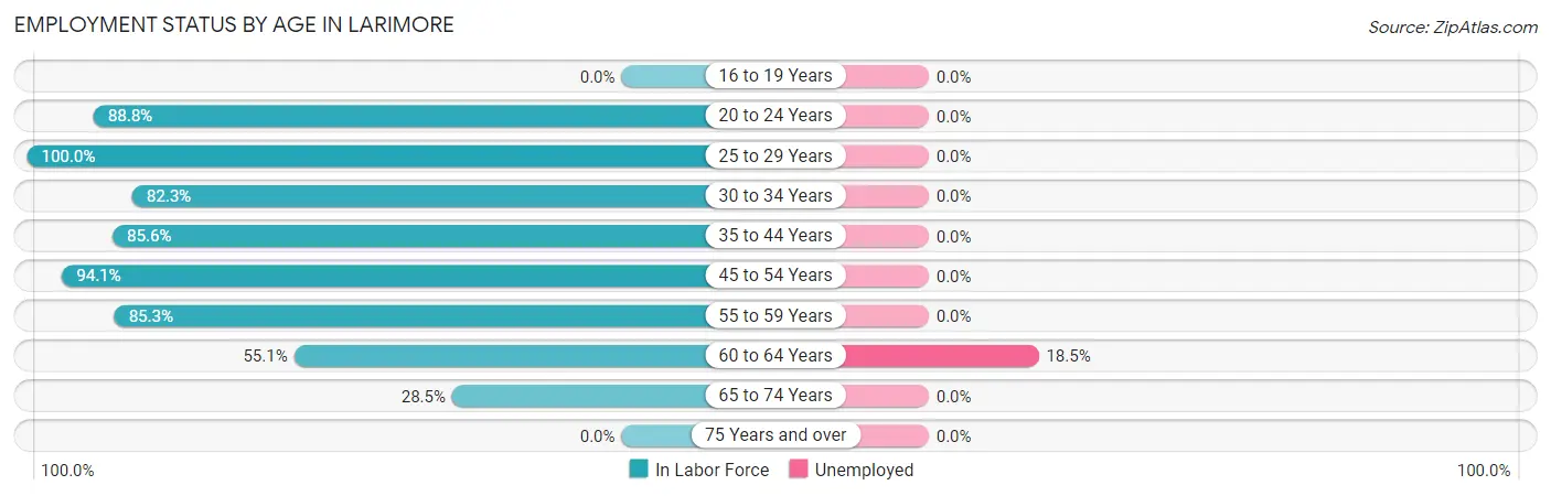 Employment Status by Age in Larimore