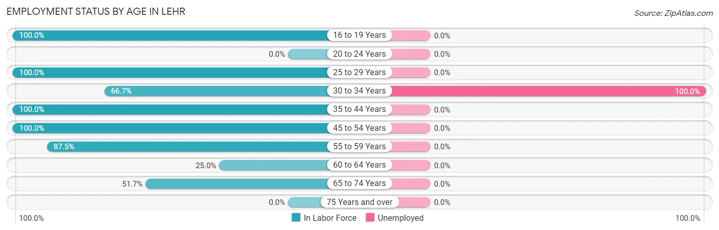 Employment Status by Age in Lehr