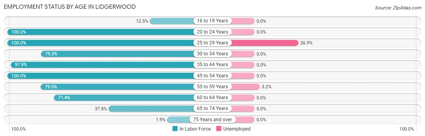 Employment Status by Age in Lidgerwood