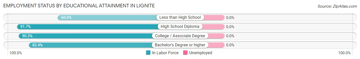 Employment Status by Educational Attainment in Lignite