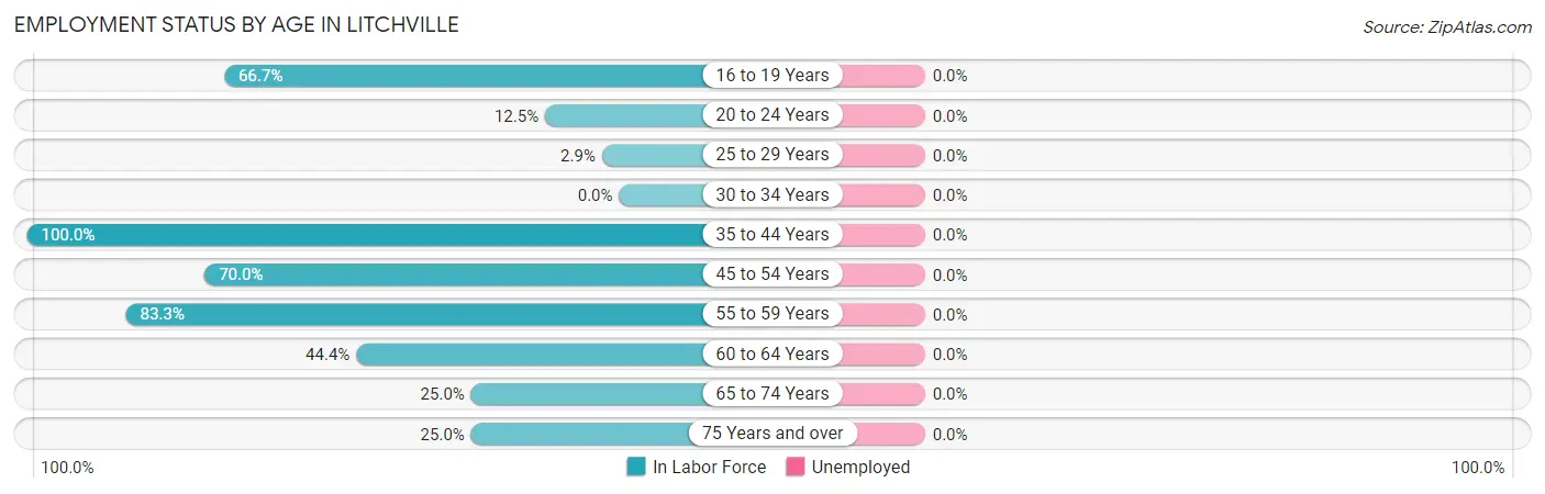 Employment Status by Age in Litchville