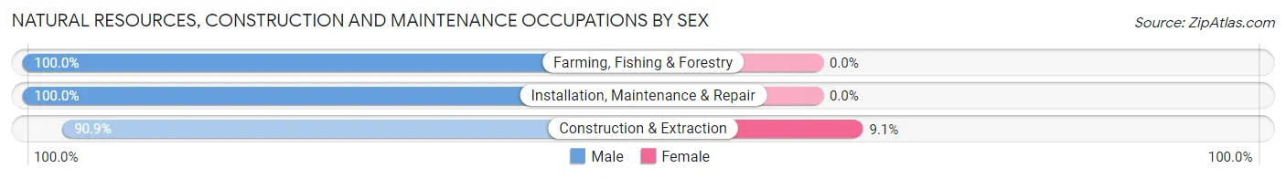 Natural Resources, Construction and Maintenance Occupations by Sex in Litchville