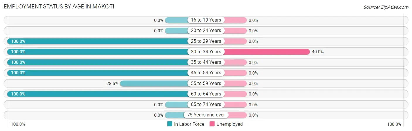 Employment Status by Age in Makoti
