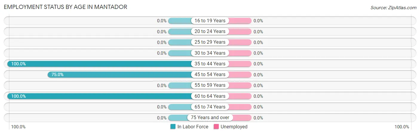 Employment Status by Age in Mantador