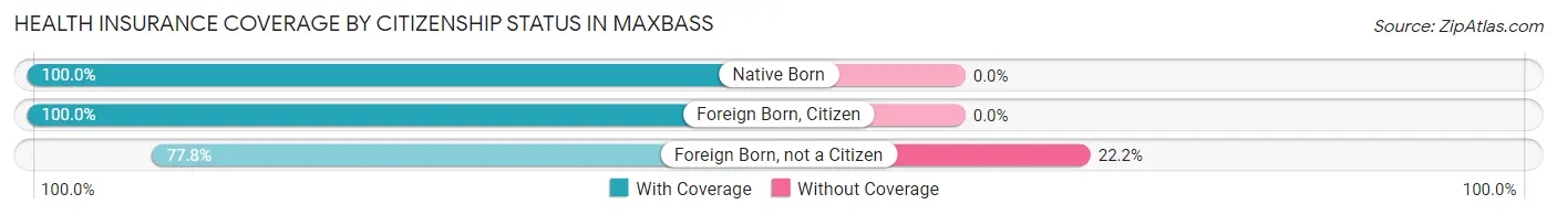 Health Insurance Coverage by Citizenship Status in Maxbass