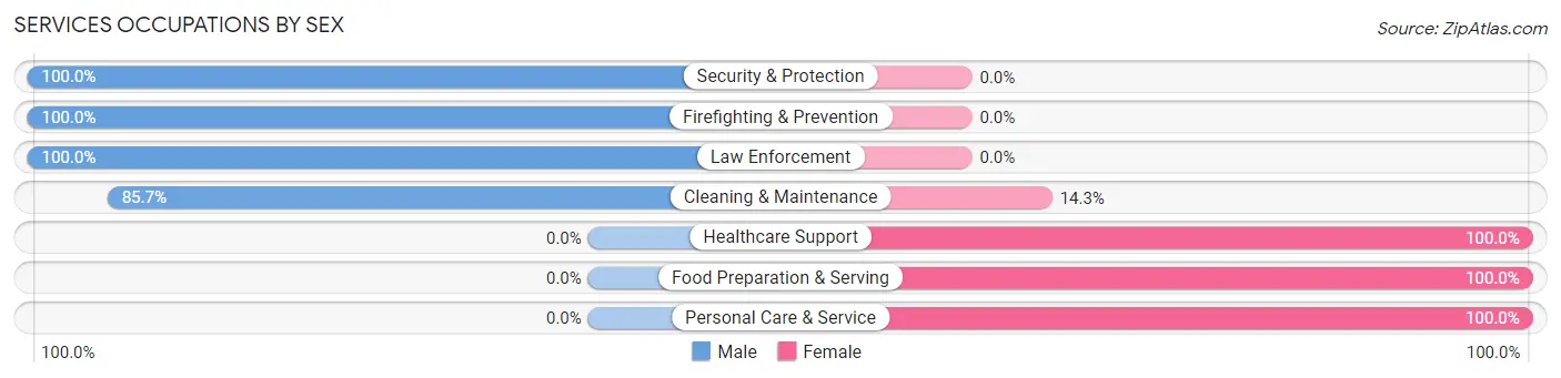 Services Occupations by Sex in Milnor
