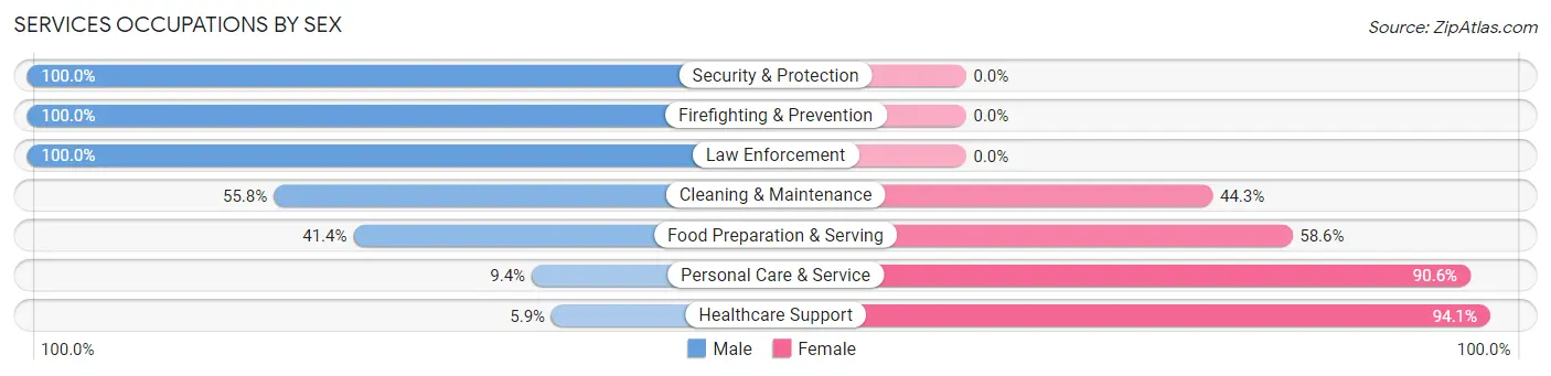 Services Occupations by Sex in Minot