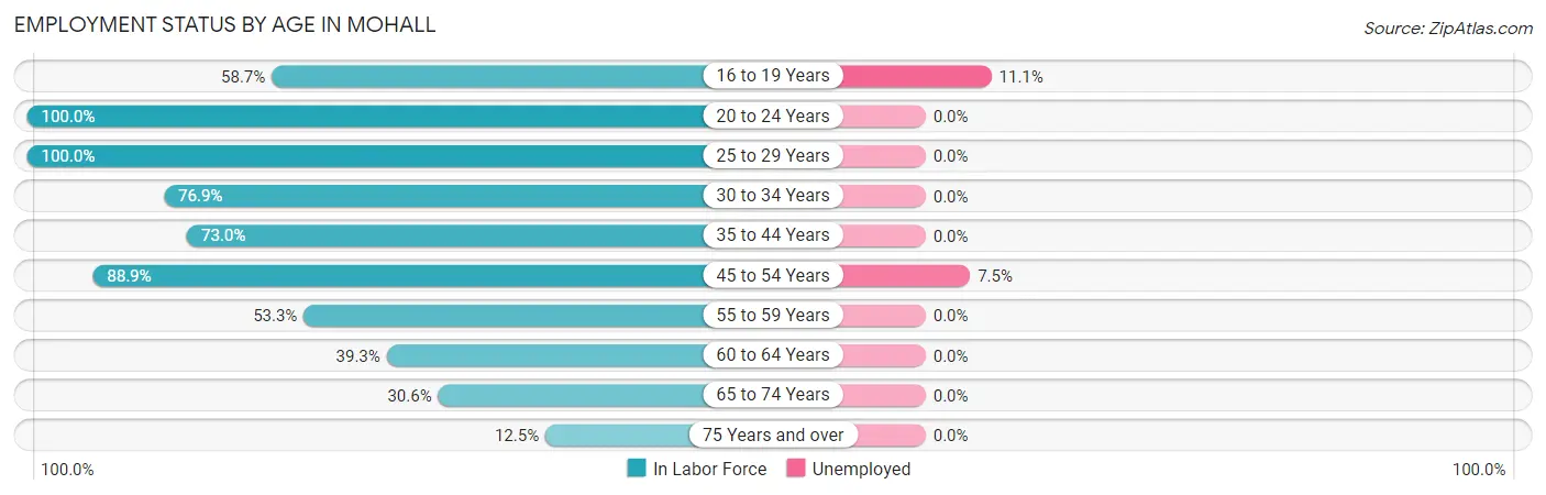 Employment Status by Age in Mohall