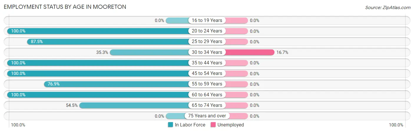 Employment Status by Age in Mooreton