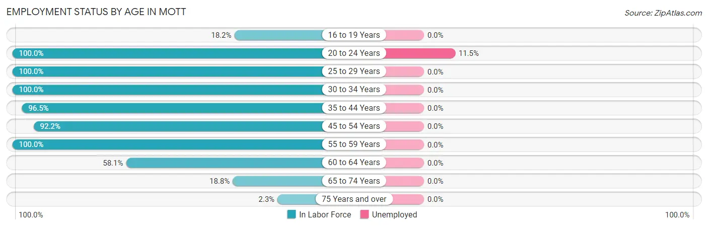 Employment Status by Age in Mott