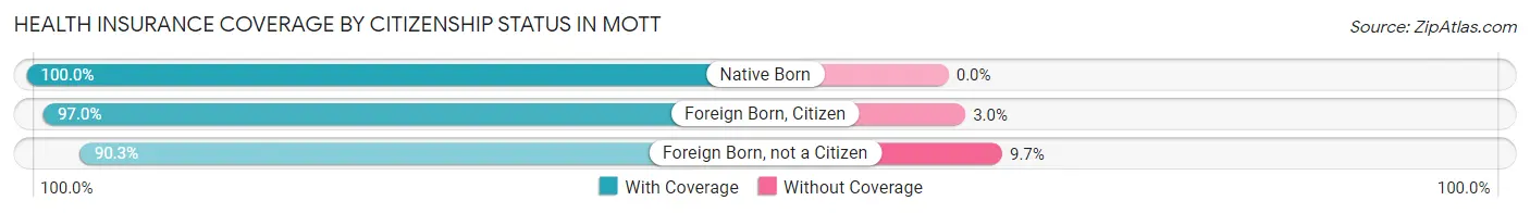 Health Insurance Coverage by Citizenship Status in Mott