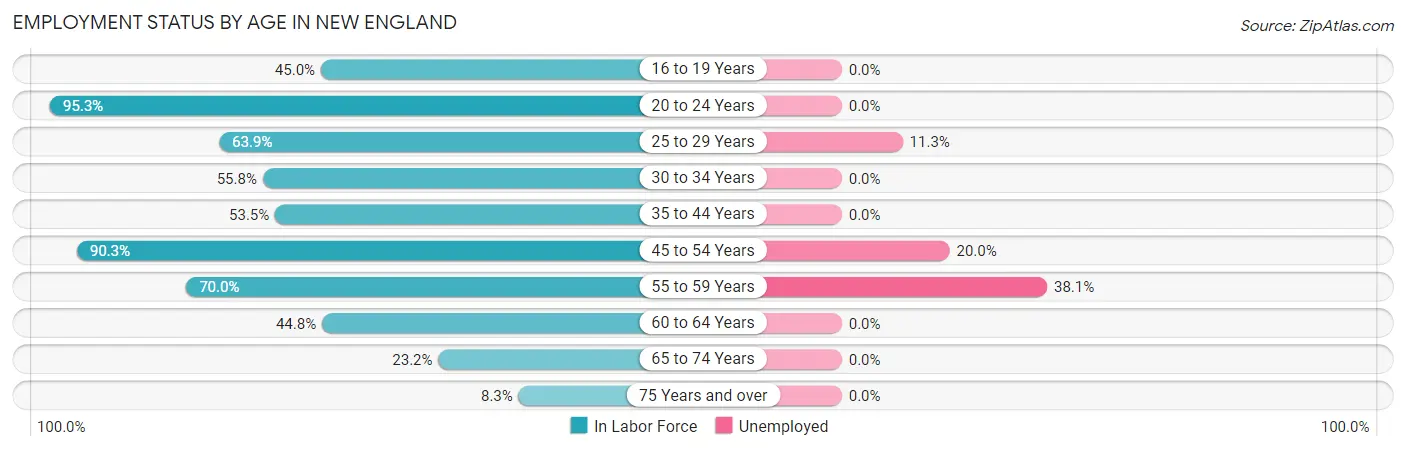 Employment Status by Age in New England