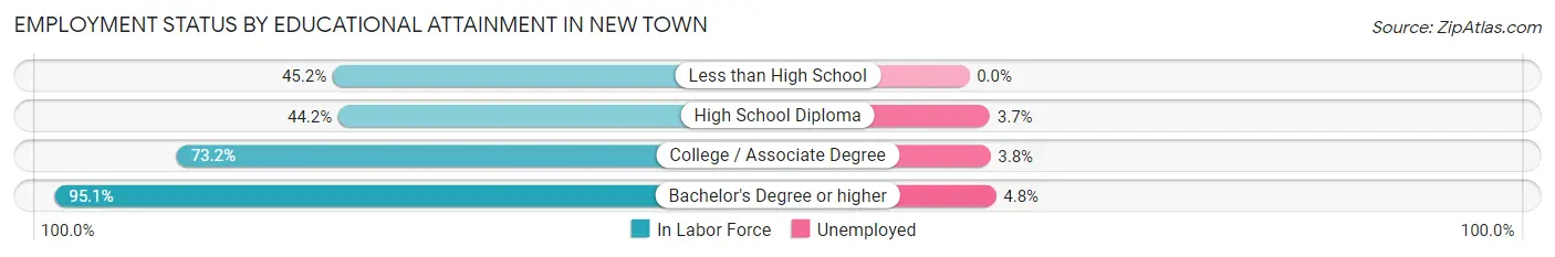 Employment Status by Educational Attainment in New Town