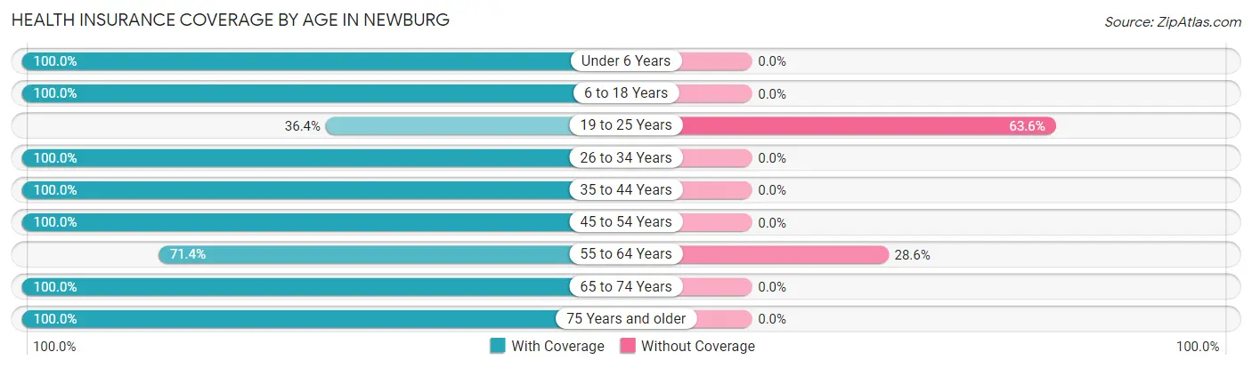 Health Insurance Coverage by Age in Newburg
