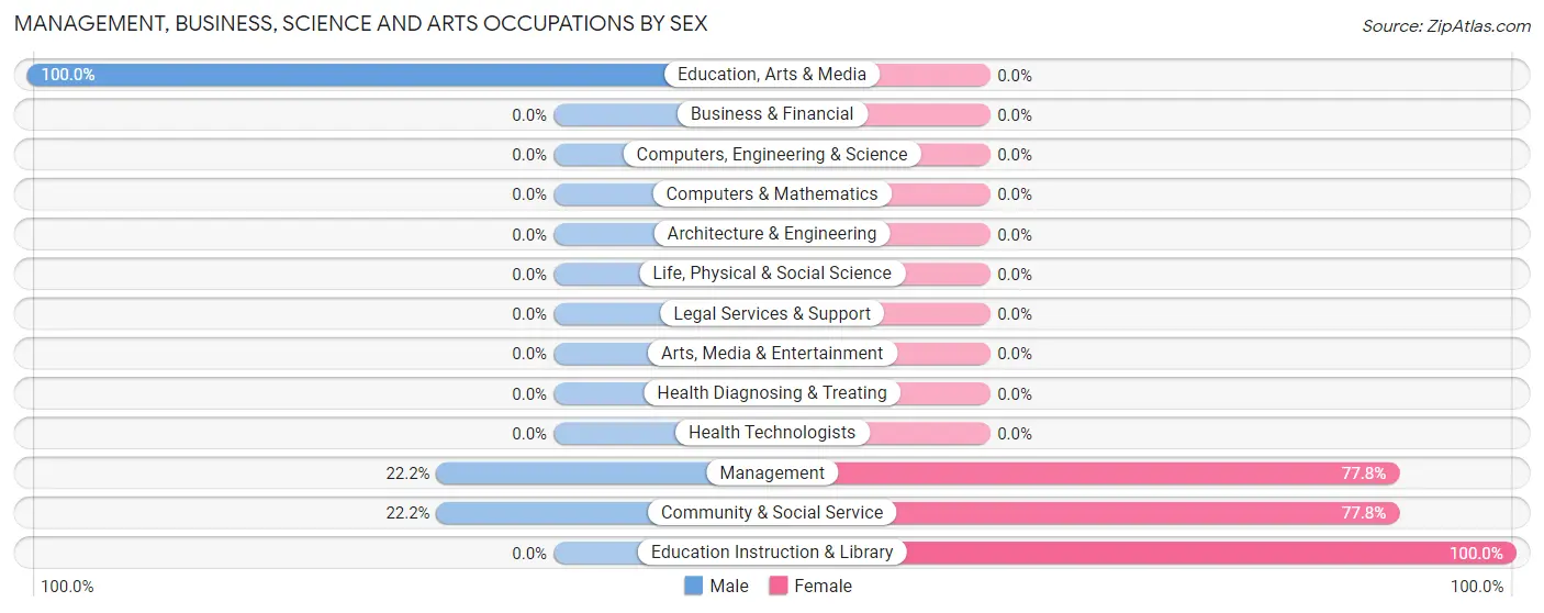 Management, Business, Science and Arts Occupations by Sex in Rhame