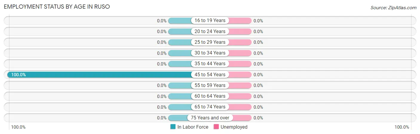 Employment Status by Age in Ruso