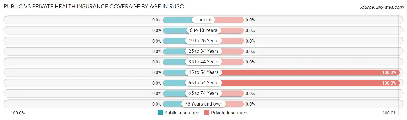 Public vs Private Health Insurance Coverage by Age in Ruso