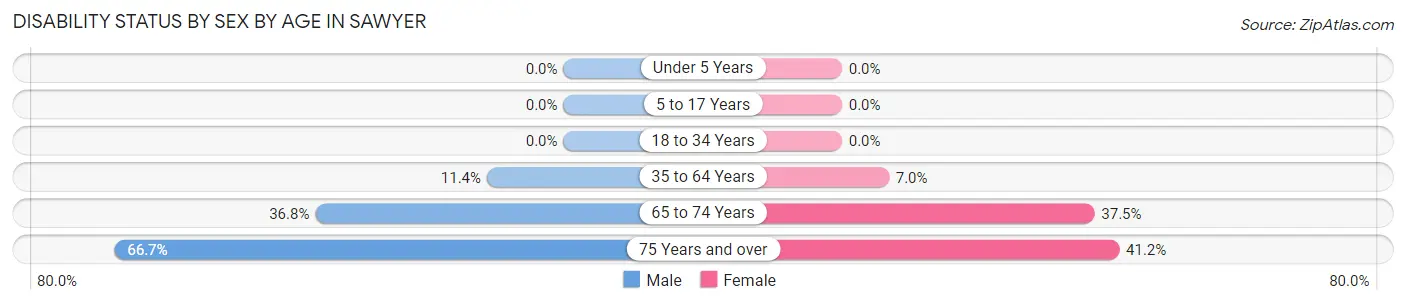 Disability Status by Sex by Age in Sawyer