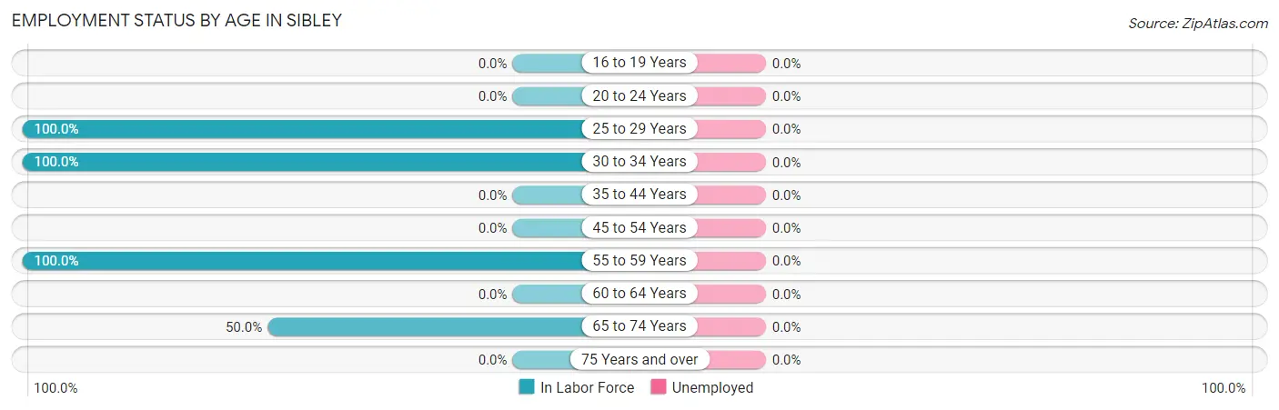 Employment Status by Age in Sibley
