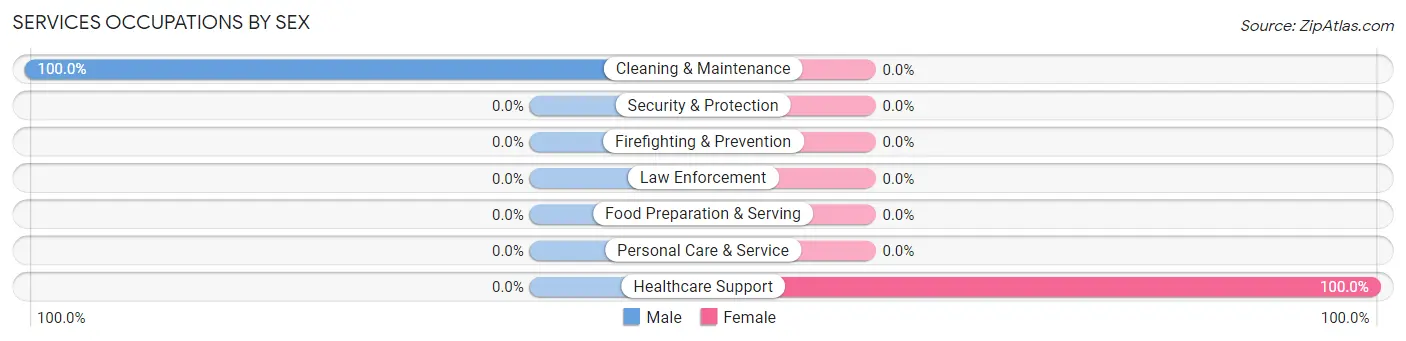 Services Occupations by Sex in Spiritwood Lake
