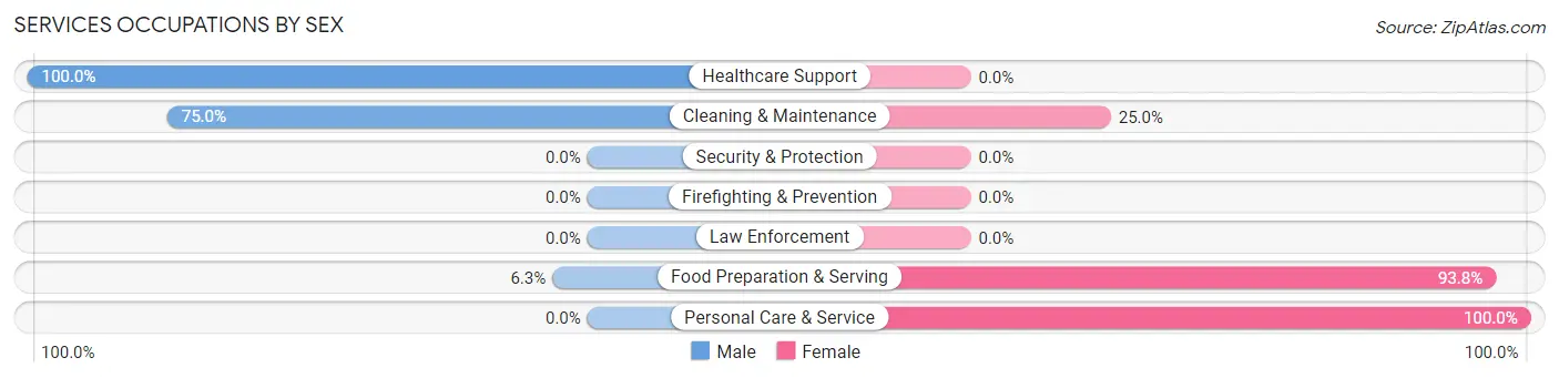Services Occupations by Sex in Stanton