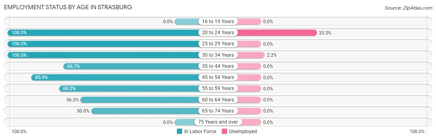 Employment Status by Age in Strasburg