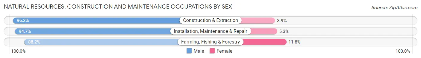 Natural Resources, Construction and Maintenance Occupations by Sex in Thompson
