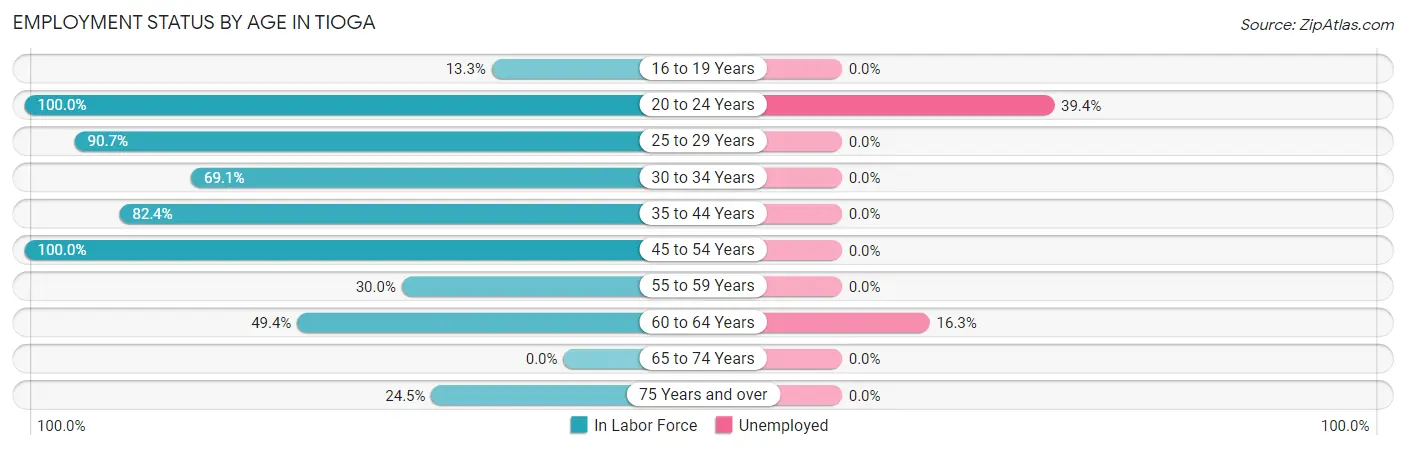 Employment Status by Age in Tioga