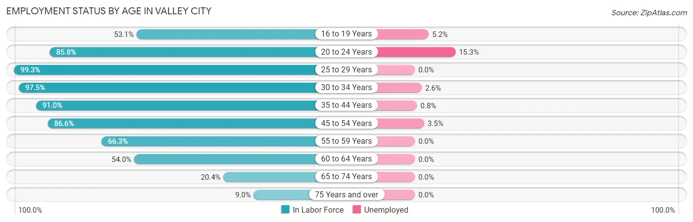 Employment Status by Age in Valley City