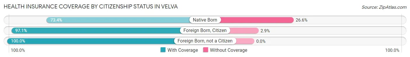Health Insurance Coverage by Citizenship Status in Velva