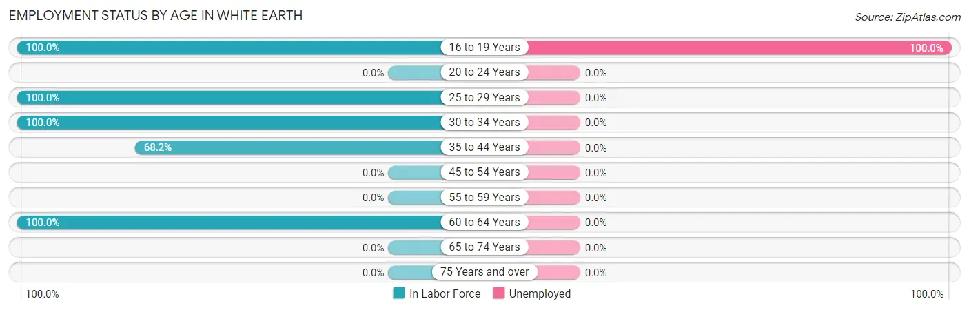 Employment Status by Age in White Earth