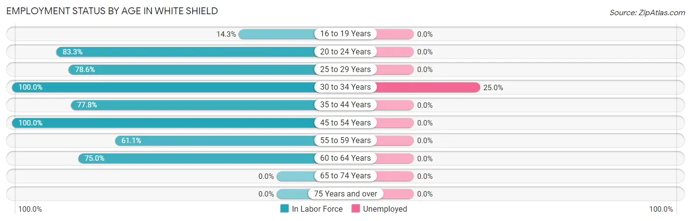 Employment Status by Age in White Shield