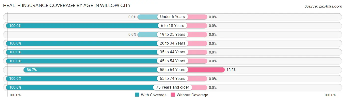 Health Insurance Coverage by Age in Willow City