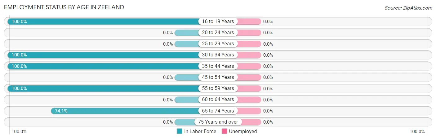 Employment Status by Age in Zeeland