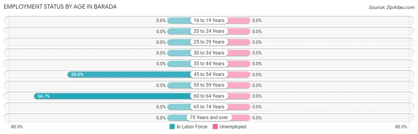 Employment Status by Age in Barada