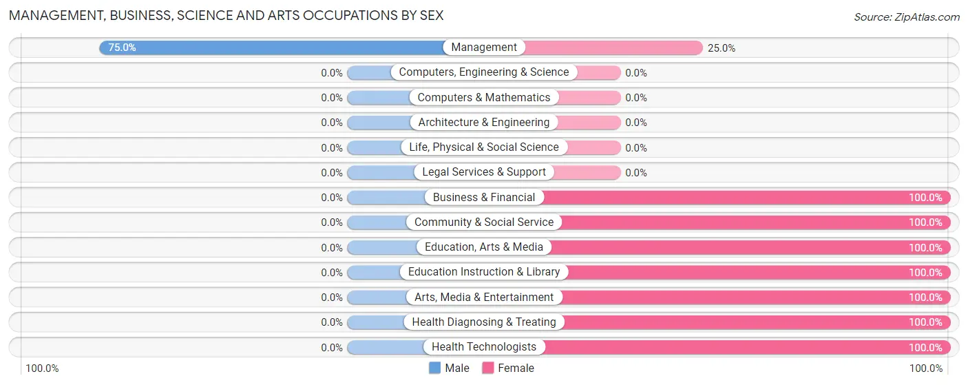 Management, Business, Science and Arts Occupations by Sex in Bee