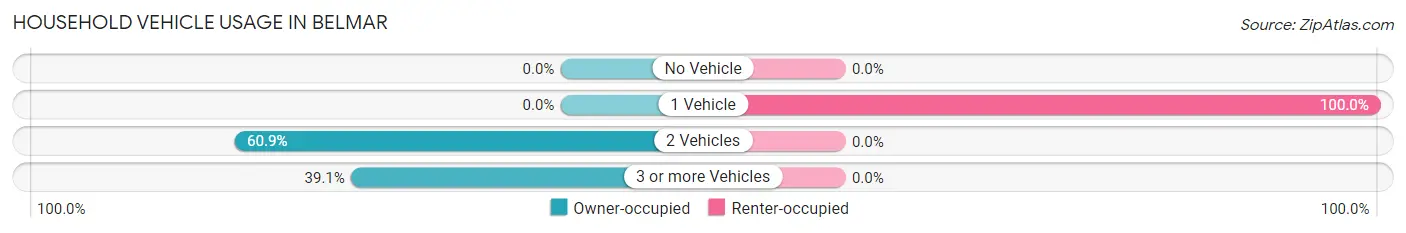Household Vehicle Usage in Belmar