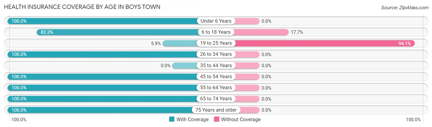 Health Insurance Coverage by Age in Boys Town