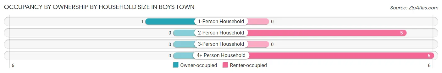 Occupancy by Ownership by Household Size in Boys Town