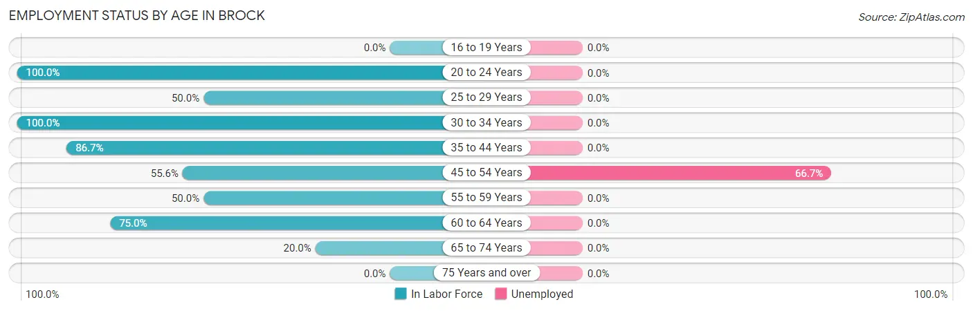Employment Status by Age in Brock