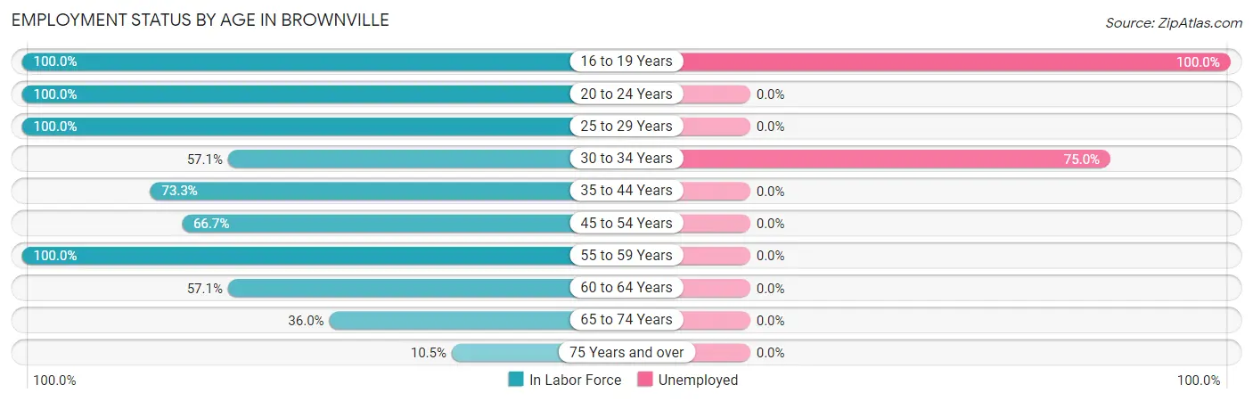 Employment Status by Age in Brownville