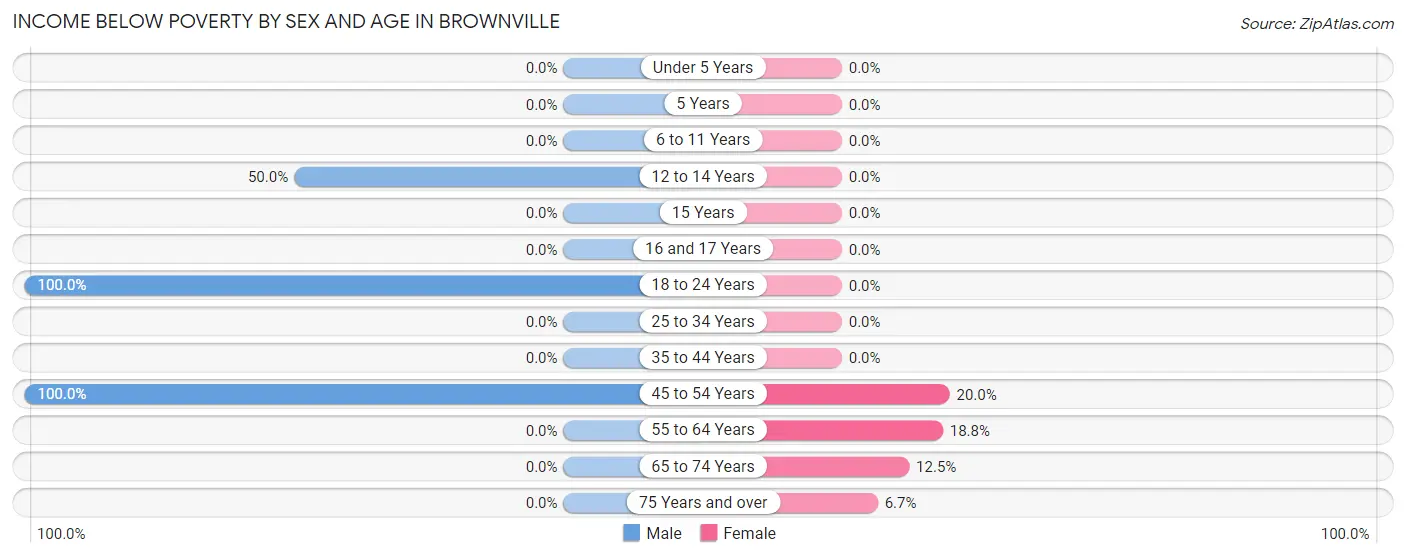 Income Below Poverty by Sex and Age in Brownville