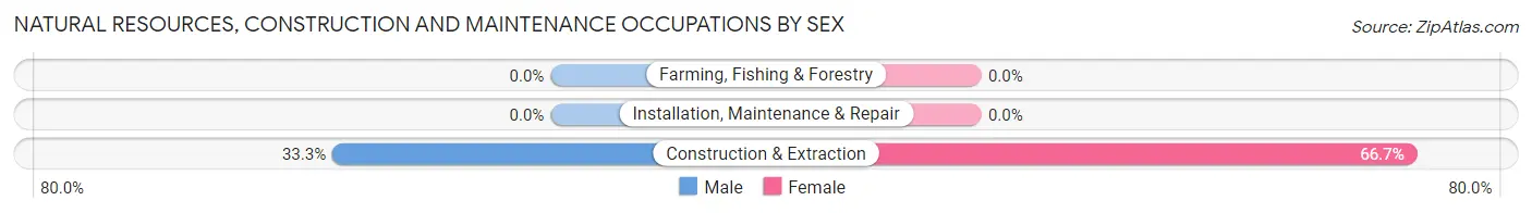 Natural Resources, Construction and Maintenance Occupations by Sex in Brownville