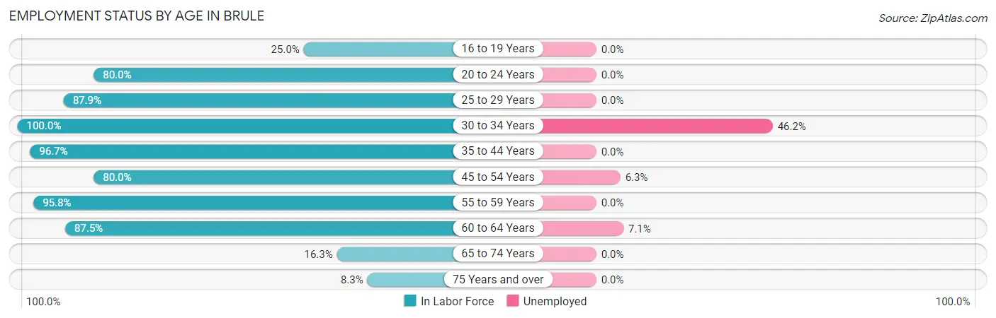 Employment Status by Age in Brule