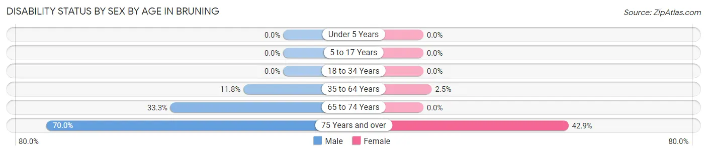 Disability Status by Sex by Age in Bruning