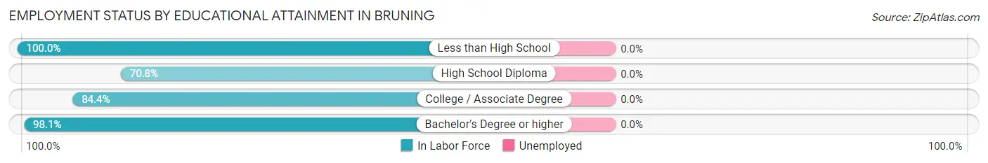 Employment Status by Educational Attainment in Bruning