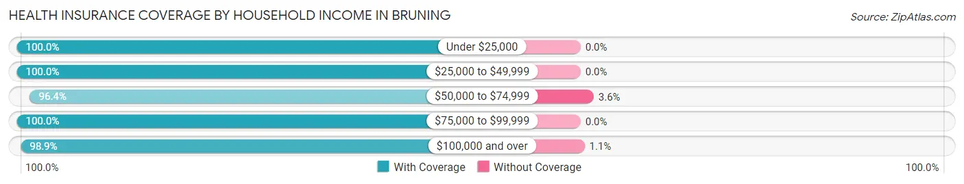 Health Insurance Coverage by Household Income in Bruning